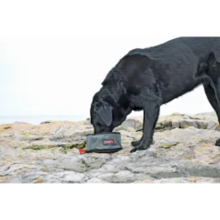 Kong Fold-Up Travel Bowl Αναδιπλούμενο μπολάκι 1τμχ -Προμήθειες Για Κατοικίδια Κατάστημα πωλήσεων KONG98437 kong fold up double bowl 1000x1000w