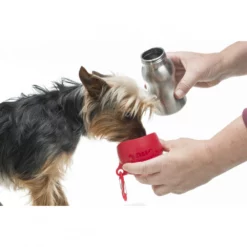 Kong H2O Ανοξείδωτο μπουκάλι νερού & μπωλ ταξιδίου 270ml Πορτοκαλί Small -Προμήθειες Για Κατοικίδια Κατάστημα πωλήσεων Kong 270ml drinking scaled 1000x1000 2