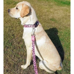 Περιλαίμιο Max & Molly Leopard Pink Medium 2x34-55cm -Προμήθειες Για Κατοικίδια Κατάστημα πωλήσεων LEOPARD PINK COLLAR LIFE 1000x1000h