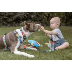 Περιλαίμιο Max & Molly Little Monsters Large 2,5x39-62cm -Προμήθειες Για Κατοικίδια Κατάστημα πωλήσεων LITTLE MONSTERS COLLAR LIFE2 1000x1000w 1