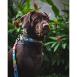 Max & Molly Μπρελόκ Little Monsters Tag 17,5cm -Προμήθειες Για Κατοικίδια Κατάστημα πωλήσεων LITTLE20MONSTERS20LIFESTYLE202 1000x1000h