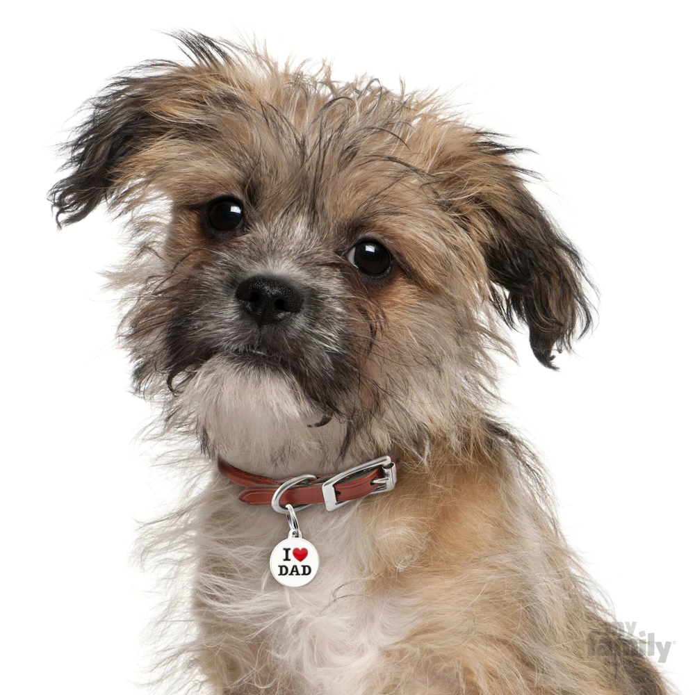 Ταυτότητα Σκύλου My Family Charms I Love Dad 3 Ταυτότητα Σκύλου My Family Charms I Love Dad - Image 3