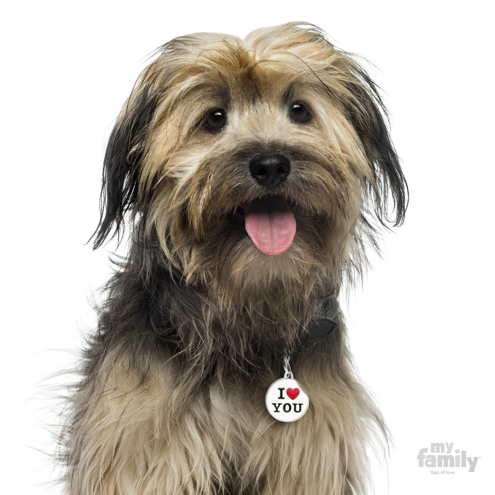 Ταυτότητα Σκύλου My Family Charms I Love You 3 Ταυτότητα Σκύλου My Family Charms I Love You - Image 3