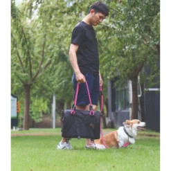 Τσάντα Μεταφοράς Σκύλου M-Pets Remix Travel Carrier 2 In 1 41x28x28 Cm -Προμήθειες Για Κατοικίδια Κατάστημα πωλήσεων M PETS 10703899 REMIX Travel Carrier pink 10 scaled 1000x1000h