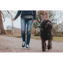 Max & Molly Waist Bag Τσαντάκι Μέσης Εκπαιδευτικό Μπλε -Προμήθειες Για Κατοικίδια Κατάστημα πωλήσεων MAX WAIST BAG LIFESTYLE 1000x1000w