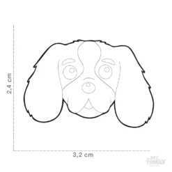 Ταυτότητα Σκύλου My Family Tricolour Cavalier King 10 Ταυτότητα Σκύλου My Family Tricolour Cavalier King -Προμήθειες Για Κατοικίδια Κατάστημα πωλήσεων MF22A 1000x1000 1