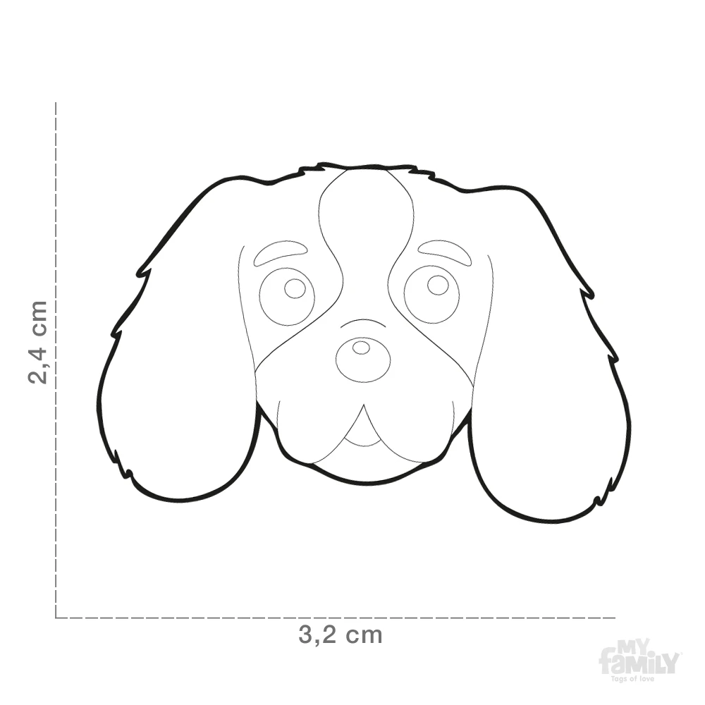 Ταυτότητα Σκύλου My Family Tricolour Cavalier King 5 Ταυτότητα Σκύλου My Family Tricolour Cavalier King - Image 5