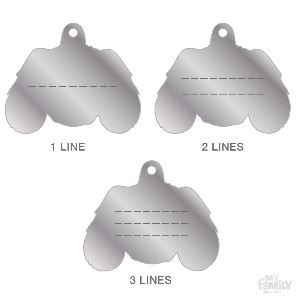 Ταυτότητα Σκύλου My Family Tricolour Cavalier King 4 Ταυτότητα Σκύλου My Family Tricolour Cavalier King - Image 4