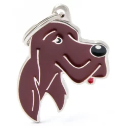 Ταυτότητα Σκύλου My Family Irish Setter