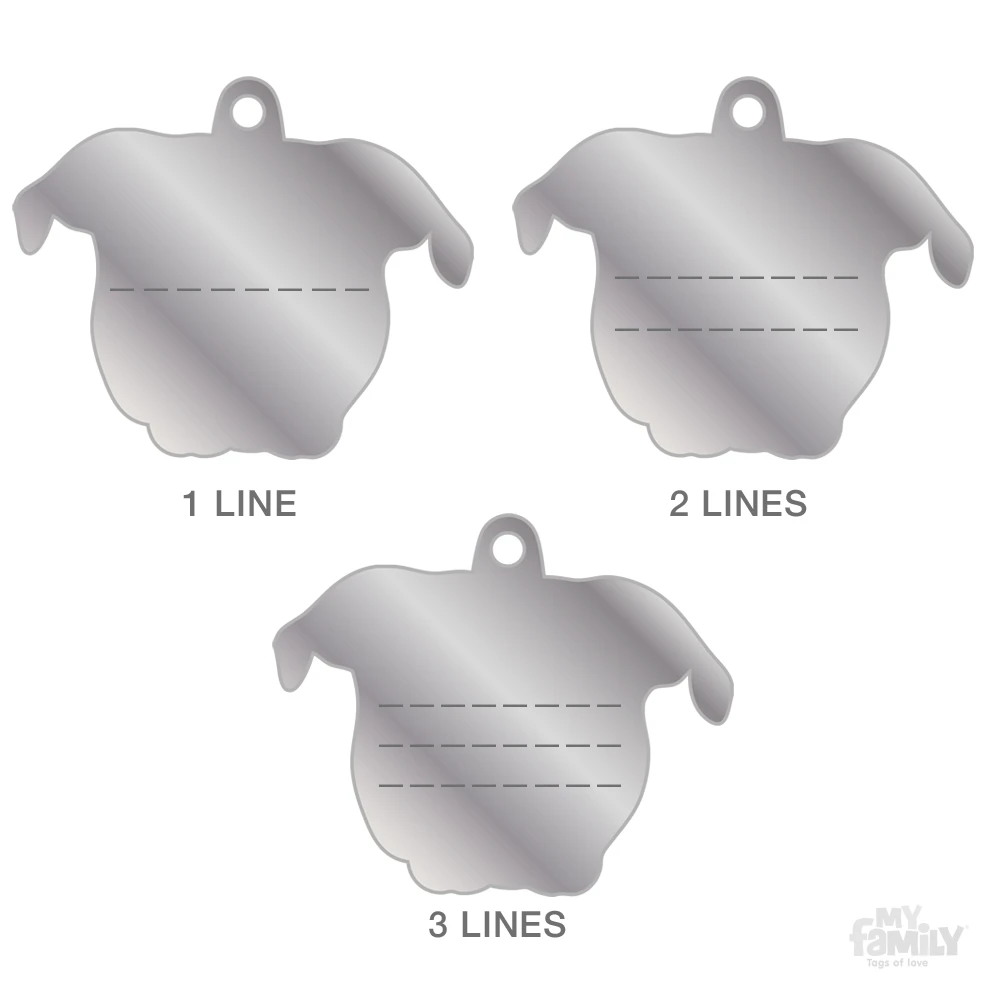 Ταυτότητα Σκύλου My Family Black Amstaff 5 Ταυτότητα Σκύλου My Family Black Amstaff - Image 5