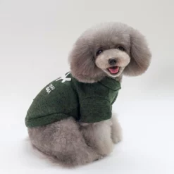 OEM Φούτερ Σκύλου Osaka Πράσινο XLarge 35cm -Προμήθειες Για Κατοικίδια Κατάστημα πωλήσεων MG 9739 1000x1000 4