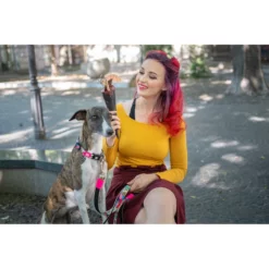 Λουρί - Οδηγός Max & Molly Missy Pop Large 2,5x120cm 9 Λουρί - Οδηγός Max & Molly Missy Pop Large 2,5x120cm -Προμήθειες Για Κατοικίδια Κατάστημα πωλήσεων MISSY20POP20LIFESTYLE 1000x1000w