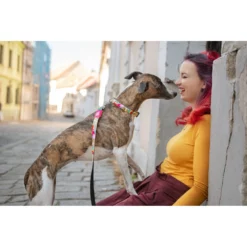 Λουρί - Οδηγός Max & Molly Missy Pop Large 2,5x120cm 10 Λουρί - Οδηγός Max & Molly Missy Pop Large 2,5x120cm -Προμήθειες Για Κατοικίδια Κατάστημα πωλήσεων MISSY20POP20LIFESTYLE2 1000x1000w