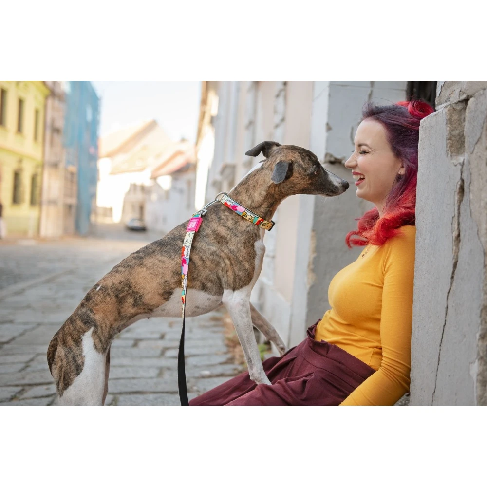 Λουρί - Οδηγός Max & Molly Missy Pop Large 2,5x120cm 5 Λουρί - Οδηγός Max & Molly Missy Pop Large 2,5x120cm - Image 5