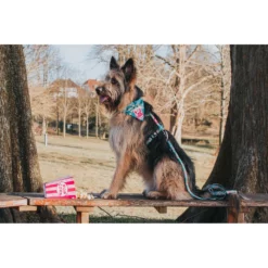 Επιστήθιο Max & Molly PopCorn XSmall 1,5x32-40cm -Προμήθειες Για Κατοικίδια Κατάστημα πωλήσεων MM POPCORN2 1000x1000w