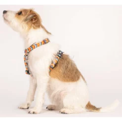 Επιστήθιο Max & Molly Summertime Large 2,5x70-98cm 11 Επιστήθιο Max & Molly Summertime Large 2,5x70-98cm -Προμήθειες Για Κατοικίδια Κατάστημα πωλήσεων MM SUMMERTIME5 1000x1000w