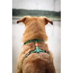 Επιστήθιο Max & Molly Vintage XSmall 1x32-40cm -Προμήθειες Για Κατοικίδια Κατάστημα πωλήσεων MM VINTAGE2 1000x1000h 2