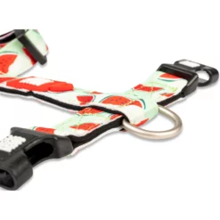 Επιστήθιο Max & Molly Watermelon Large 2,5x70-98cm 13 Επιστήθιο Max & Molly Watermelon Large 2,5x70-98cm -Προμήθειες Για Κατοικίδια Κατάστημα πωλήσεων MM WATER8 1000x1000w