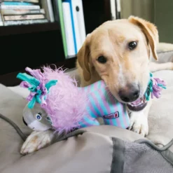 Παιχνίδι Kong Knots Carnival Lion Small / Medium με Ήχο -Προμήθειες Για Κατοικίδια Κατάστημα πωλήσεων NKV33 2 20190307155937 20190307160143 1600x1600 1000x1000 1