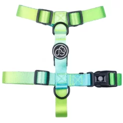 Σαμαράκι Everking Neon 393287 Medium 2x46-65cm