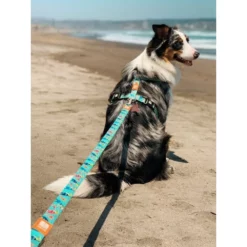 Max & Molly Μπρελόκ Paradise Tag 17,5cm 11 Max & Molly Μπρελόκ Paradise Tag 17,5cm -Προμήθειες Για Κατοικίδια Κατάστημα πωλήσεων PARADISE20LIFESTYLE 1000x1000h