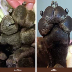 Προστατευτικό για τις Πατούσες του Σκύλου Balm Natural Dog Paw Soother 2oz / 59ml Κουτάκι -Προμήθειες Για Κατοικίδια Κατάστημα πωλήσεων PAWS 2T Paw Soother PDP6 1000x1000 1