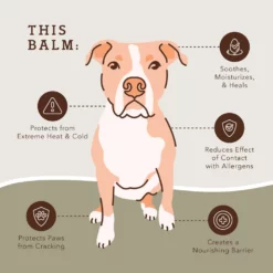 Προστατευτικό για τις Πατούσες του Σκύλου Balm Natural Dog Pawtection 1oz / 30ml Κουτάκι -Προμήθειες Για Κατοικίδια Κατάστημα πωλήσεων PAWT 4T PawTection PDP5 1000x1000 1