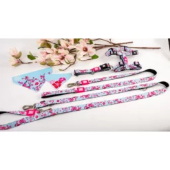 Λουρί - Οδηγός Max & Molly Cherry Bloom Small 1,5x120cm -Προμήθειες Για Κατοικίδια Κατάστημα πωλήσεων PCdk1KZQ 1000x1000w