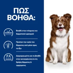 Hills Hill's Prescription Diet Derm Defense Skin Care Για Σκύλους Με Κοτόπουλο 4kg -Προμήθειες Για Κατοικίδια Κατάστημα πωλήσεων PD Derm Defense DOG BK27176M BK28234 How Helps EL 1000x1000 1