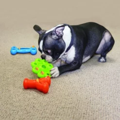 Παιχνίδι Kong Quest Star Pods Small 10 Παιχνίδι Kong Quest Star Pods Small -Προμήθειες Για Κατοικίδια Κατάστημα πωλήσεων PE13 2 1000x1000 1000x1000 1