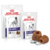 Royal Canin Pill Assist, Βοηθητική Λιχουδιά Χορήγησης Χαπιών Small