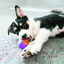 Kong Squeezz Action Ball Red Large 2τμχ -Προμήθειες Για Κατοικίδια Κατάστημα πωλήσεων PSA13 2 1000x1000 1000x1000 1