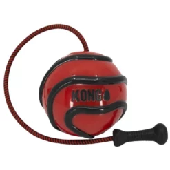 Kong Wavz Bunjiball Large -Προμήθειες Για Κατοικίδια Κατάστημα πωλήσεων PSV21 1 20190806213558 20190806213758 1000x1000 1000x1000w