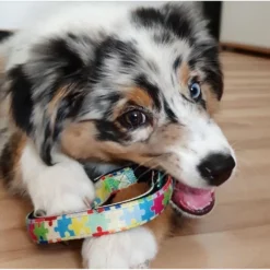 Max & Molly Μπρελόκ Puzzle Tag 17,5cm -Προμήθειες Για Κατοικίδια Κατάστημα πωλήσεων PUZZLE20LIFESTYLE 1000x1000w 2