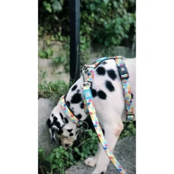 Λουρί - Οδηγός Max & Molly Puzzle Small 1,5x120cm -Προμήθειες Για Κατοικίδια Κατάστημα πωλήσεων PUZZLE20LIFESTYLE2 1000x1000h 1