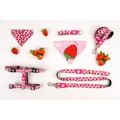 Max & Molly Μπρελόκ Strawberry Dream Tag 17,5cm -Προμήθειες Για Κατοικίδια Κατάστημα πωλήσεων PXJPMLDo 1000x1000w