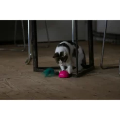 OEM Διαδραστικό Παιχνίδι Γάτας Robocat Mouse Γκρι 8 OEM Διαδραστικό Παιχνίδι Γάτας Robocat Mouse Γκρι -Προμήθειες Για Κατοικίδια Κατάστημα πωλήσεων ROBO021 robocat pink mouse petshop88 3 2 1000x1000w