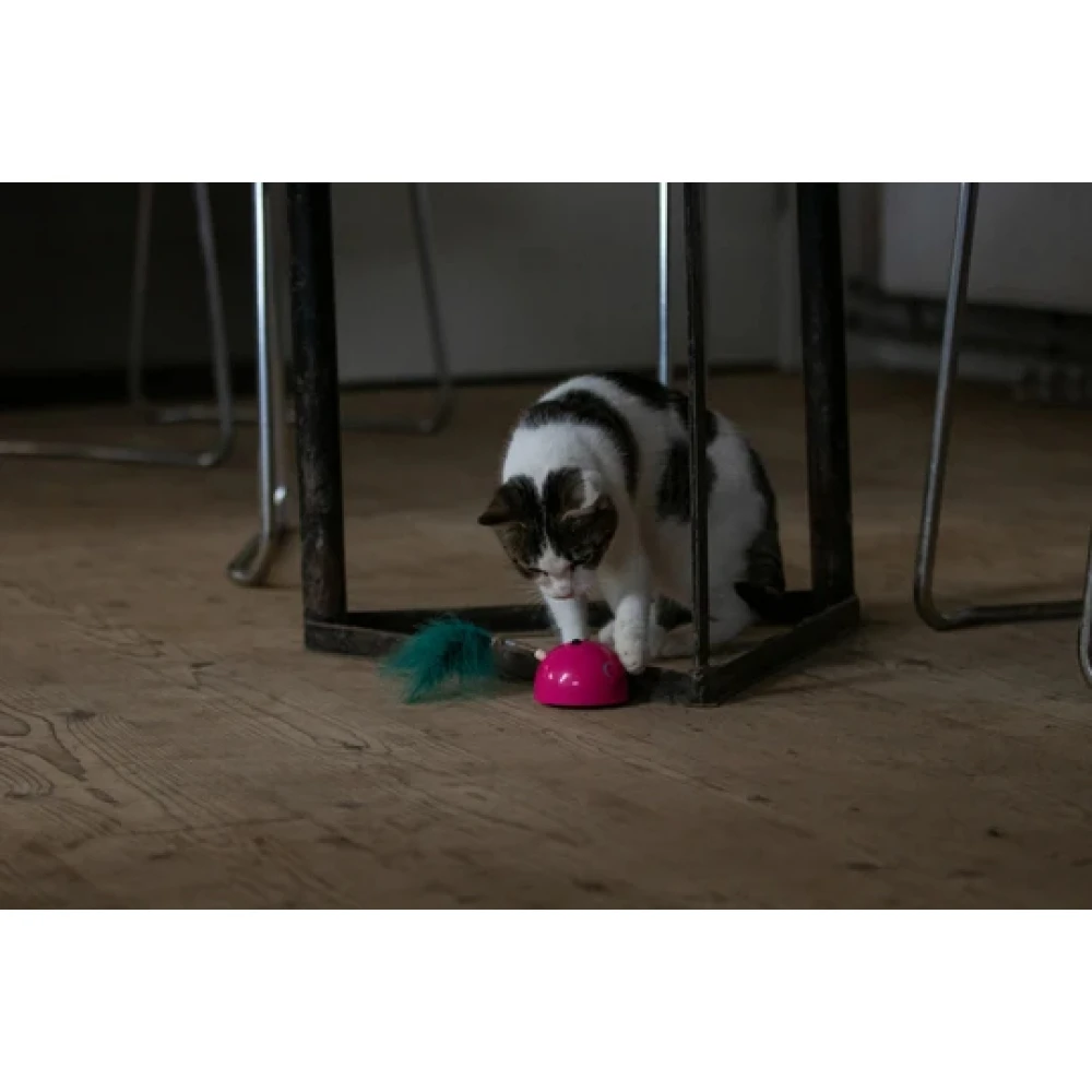 OEM Διαδραστικό Παιχνίδι Γάτας Robocat Mouse Γκρι 4 OEM Διαδραστικό Παιχνίδι Γάτας Robocat Mouse Γκρι - Image 4