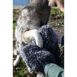 OEM Πετσέτα Royal Dry Towel 35 X 81cm -Προμήθειες Για Κατοικίδια Κατάστημα πωλήσεων ROYA00207 1000x1000h