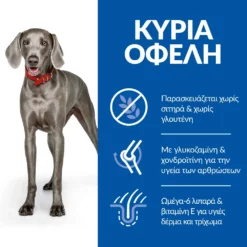 Hills Hill's Science Plan No Grain Adult Large Breed Για Σκύλους Με Κοτόπουλο 12kg 13 Hills Hill's Science Plan No Grain Adult Large Breed Για Σκύλους Με Κοτόπουλο 12kg -Προμήθειες Για Κατοικίδια Κατάστημα πωλήσεων SP NO GRAIN Dog Adult Large Chicken Key Benefits 1000x1000 1