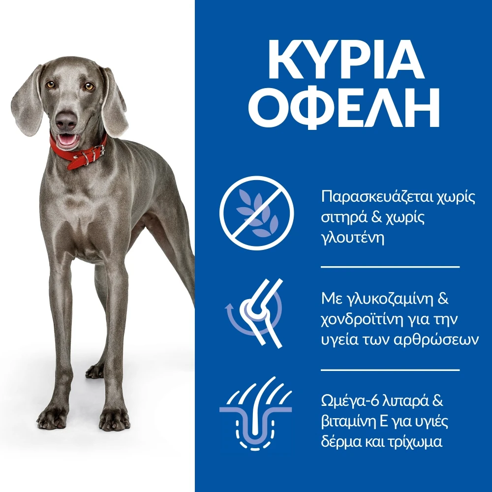 Hills Hill's Science Plan No Grain Adult Large Breed Για Σκύλους Με Κοτόπουλο 12kg 6 Hills Hill's Science Plan No Grain Adult Large Breed Για Σκύλους Με Κοτόπουλο 12kg - Image 6