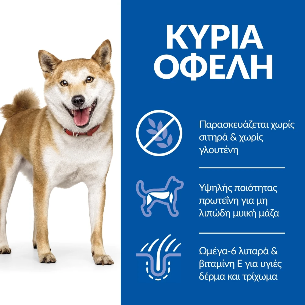 Hills Hill's Science Plan No Grain Adult Medium Για Σκύλους Με Τόνο 12kg 8 Hills Hill's Science Plan No Grain Adult Medium Για Σκύλους Με Τόνο 12kg - Image 8