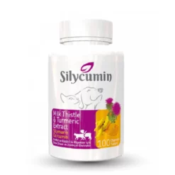 Silycumin Κατά Των Τοξινών 45 Tabs
