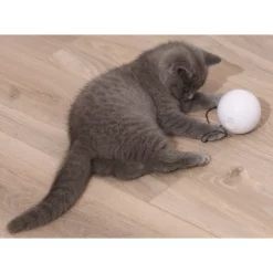 Παιχνίδι Γάτας Homerun Smart Cat Ball 7,2cm -Προμήθειες Για Κατοικίδια Κατάστημα πωλήσεων TB10 PHOTO 2 1000x1000w