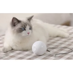 Παιχνίδι Γάτας Homerun Smart Cat Ball 7,2cm -Προμήθειες Για Κατοικίδια Κατάστημα πωλήσεων TB10 PHOTO 3 1000x1000w