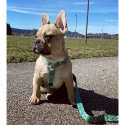 Max & Molly Μπρελόκ Vintage Tag 17,5cm -Προμήθειες Για Κατοικίδια Κατάστημα πωλήσεων VINTAGE20LIFESTYLE2 1000x1000h