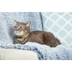 Περιλαίμιο Γάτας Max & Molly Monkey Maniac Cat 1x22-35cm -Προμήθειες Για Κατοικίδια Κατάστημα πωλήσεων VbS1wmjA 1000x1000w