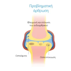 Συμπλήρωμα Διατροφής Χονδροπροστατευτικό για Σκύλους Wejoint Plus Medium Breed 30 Δισκία 9 Συμπλήρωμα Διατροφής Χονδροπροστατευτικό για Σκύλους Wejoint Plus Medium Breed 30 Δισκία -Προμήθειες Για Κατοικίδια Κατάστημα πωλήσεων WE 0100 02 1000x1000 2