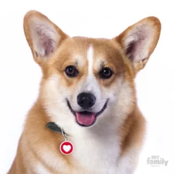 Ταυτότητα Σκύλου My Family Charms Red Circle White Heart 8 Ταυτότητα Σκύλου My Family Charms Red Circle White Heart -Προμήθειες Για Κατοικίδια Κατάστημα πωλήσεων YM031 1000x1000 1