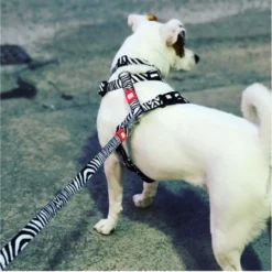 Max & Molly Μπρελόκ Zebra Tag 17,5cm -Προμήθειες Για Κατοικίδια Κατάστημα πωλήσεων ZEBRA20LIFESTYLE2 1000x1000h